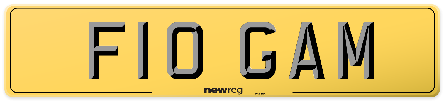 F10 GAM Rear Number Plate