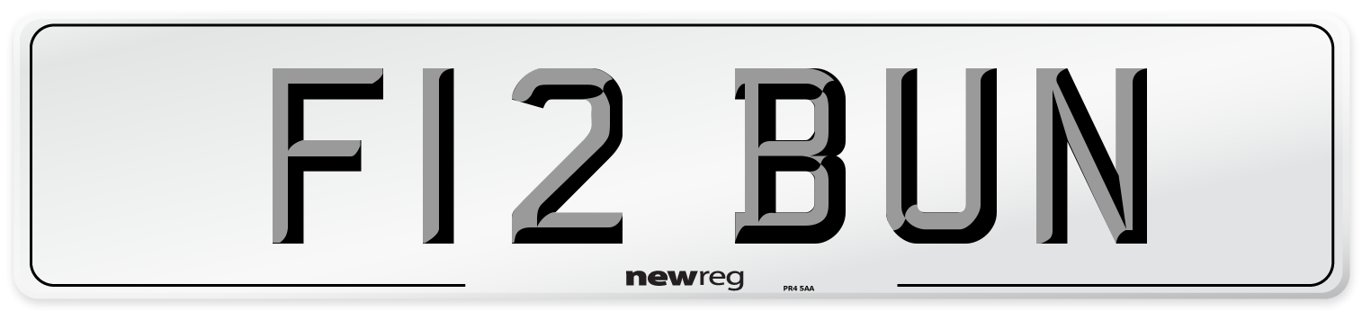 F12 BUN Front Number Plate
