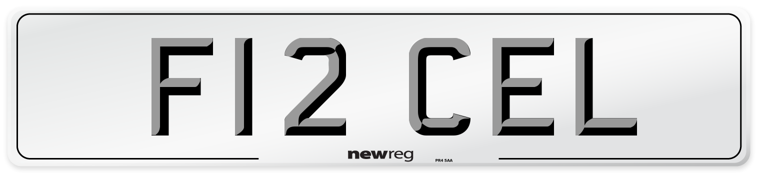 F12 CEL Front Number Plate