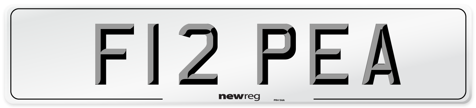 F12 PEA Front Number Plate