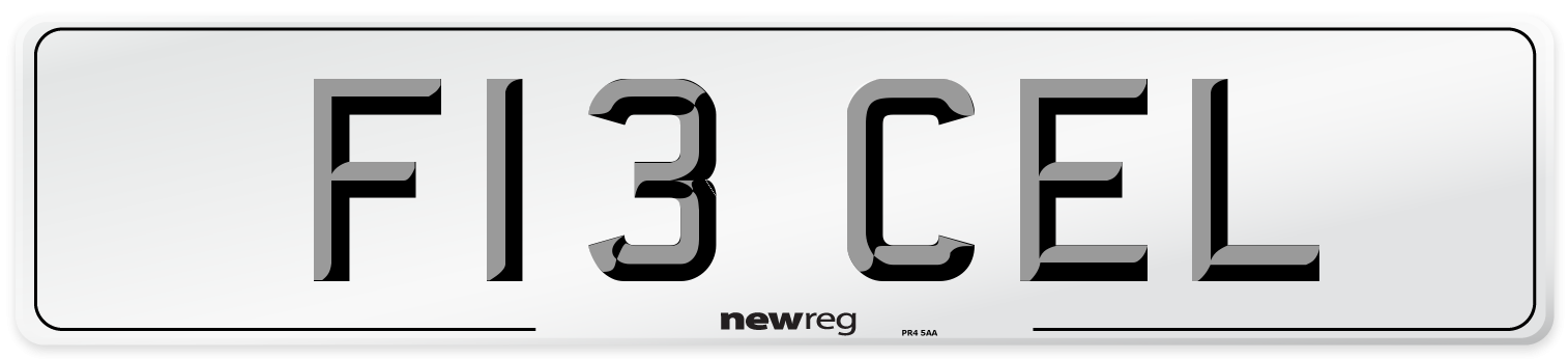 F13 CEL Front Number Plate