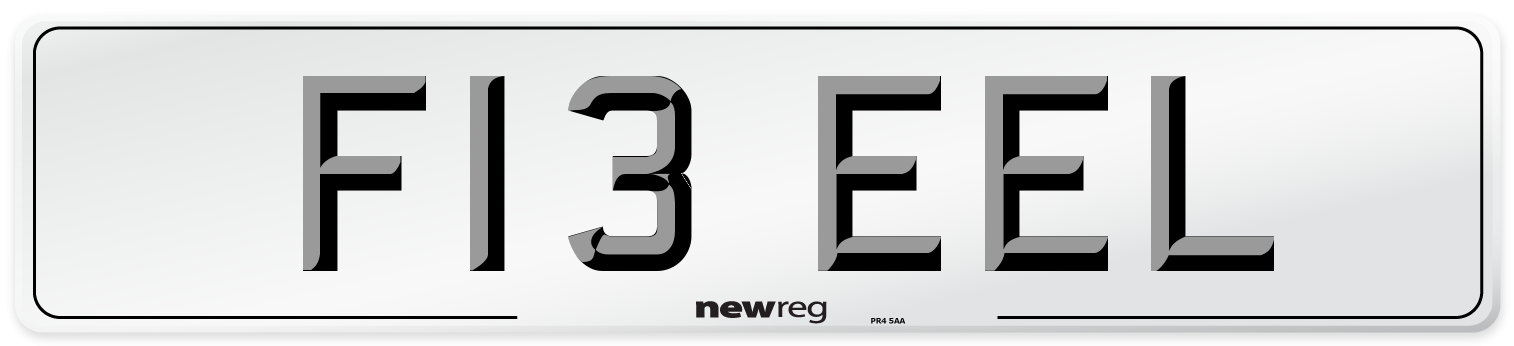 F13 EEL Front Number Plate