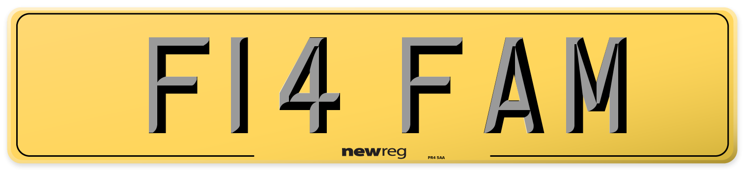F14 FAM Rear Number Plate