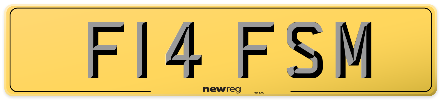 F14 FSM Rear Number Plate