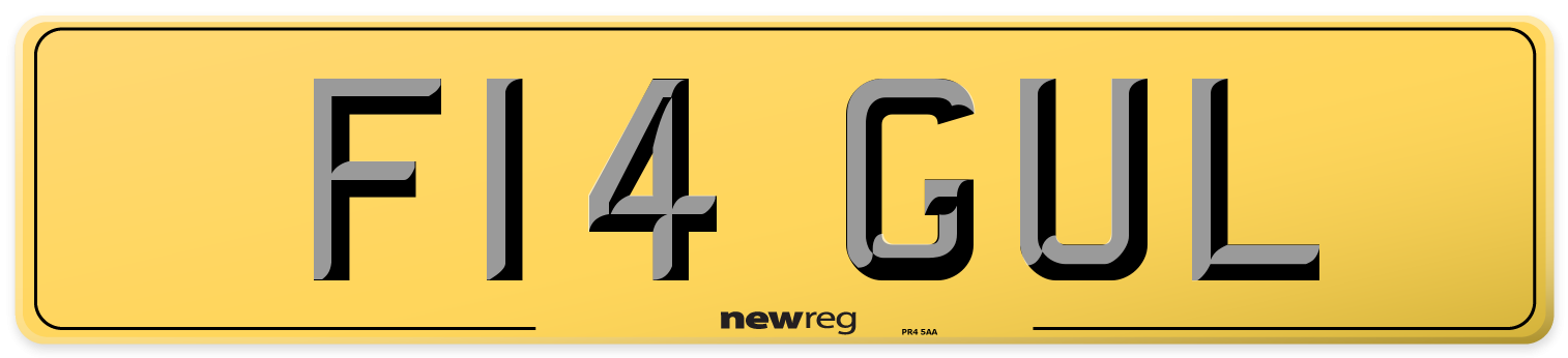 F14 GUL Rear Number Plate