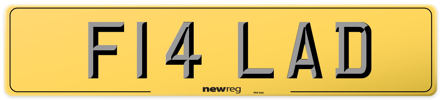 F14 LAD Rear Number Plate
