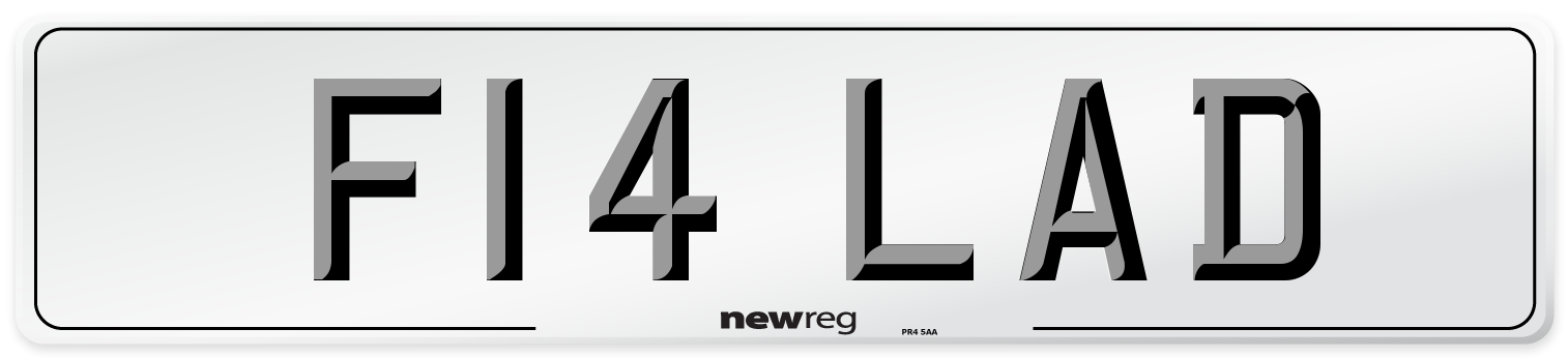 F14 LAD Front Number Plate