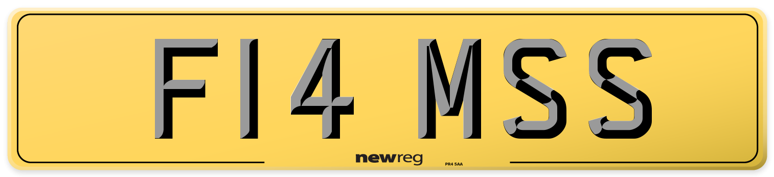 F14 MSS Rear Number Plate