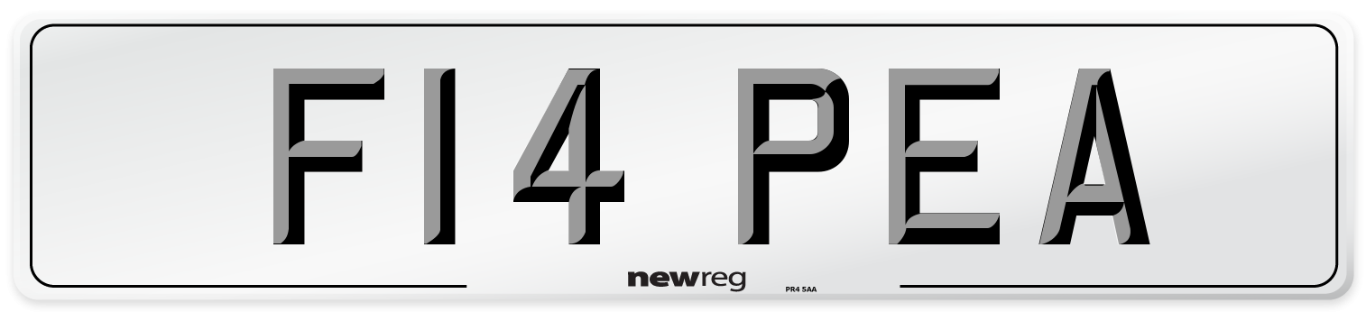 F14 PEA Front Number Plate