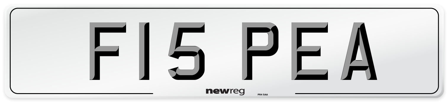 F15 PEA Front Number Plate