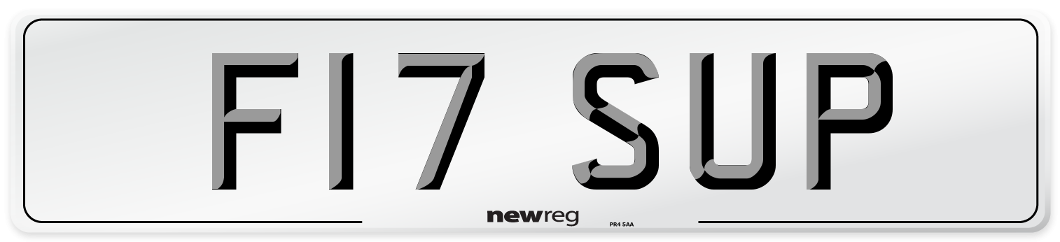 F17 SUP Front Number Plate