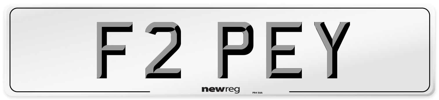 F2 PEY Front Number Plate