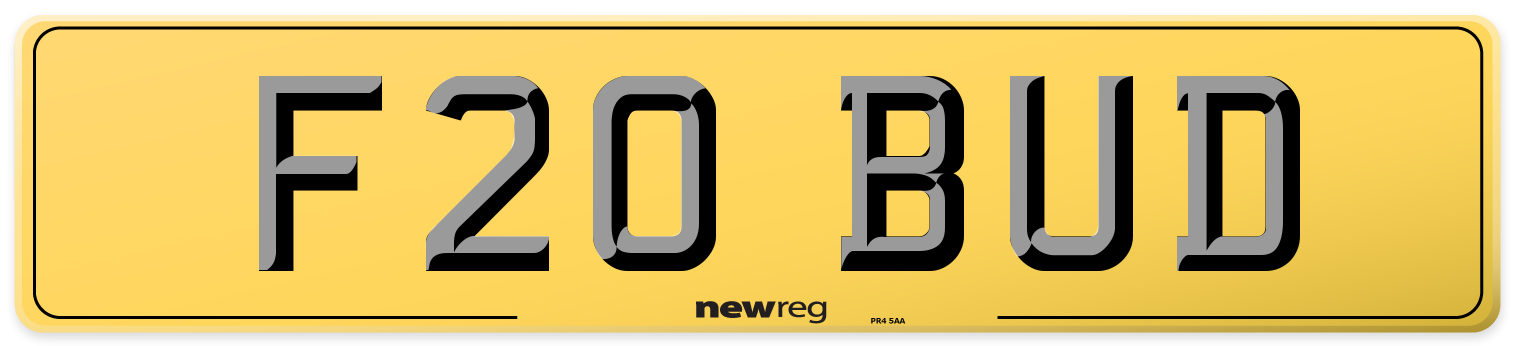 F20 BUD Rear Number Plate