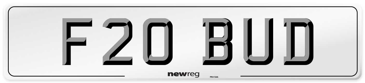 F20 BUD Front Number Plate