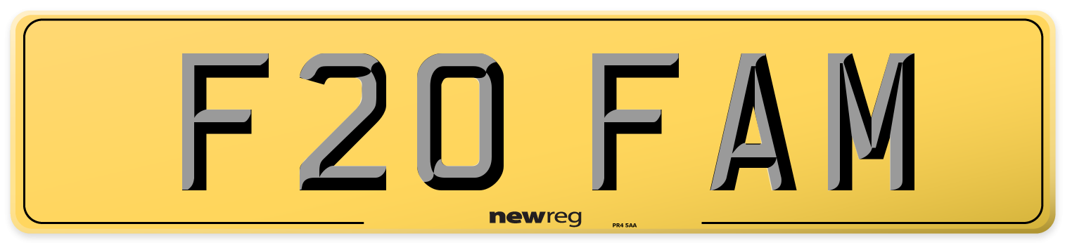 F20 FAM Rear Number Plate