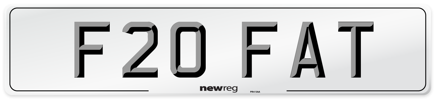 F20 FAT Front Number Plate