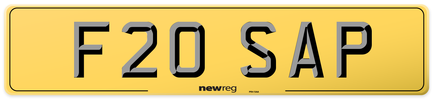 F20 SAP Rear Number Plate