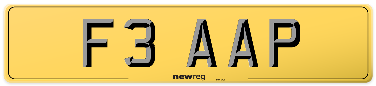 F3 AAP Rear Number Plate