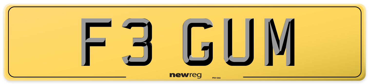 F3 GUM Rear Number Plate