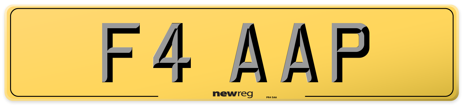 F4 AAP Rear Number Plate