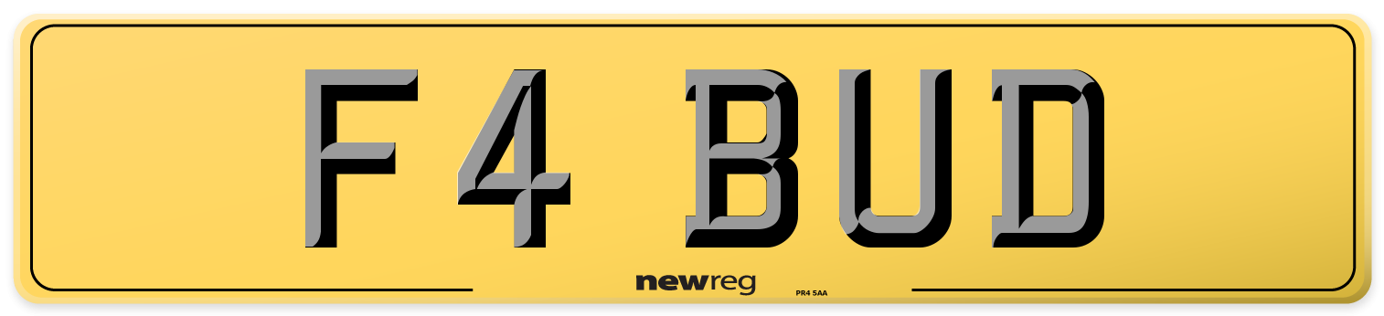 F4 BUD Rear Number Plate