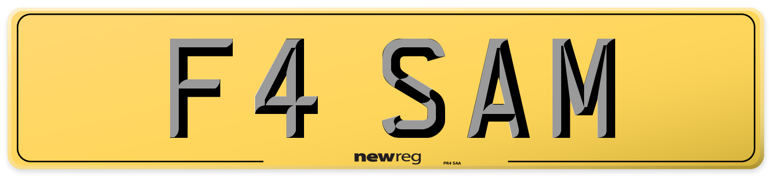 F4 SAM Rear Number Plate