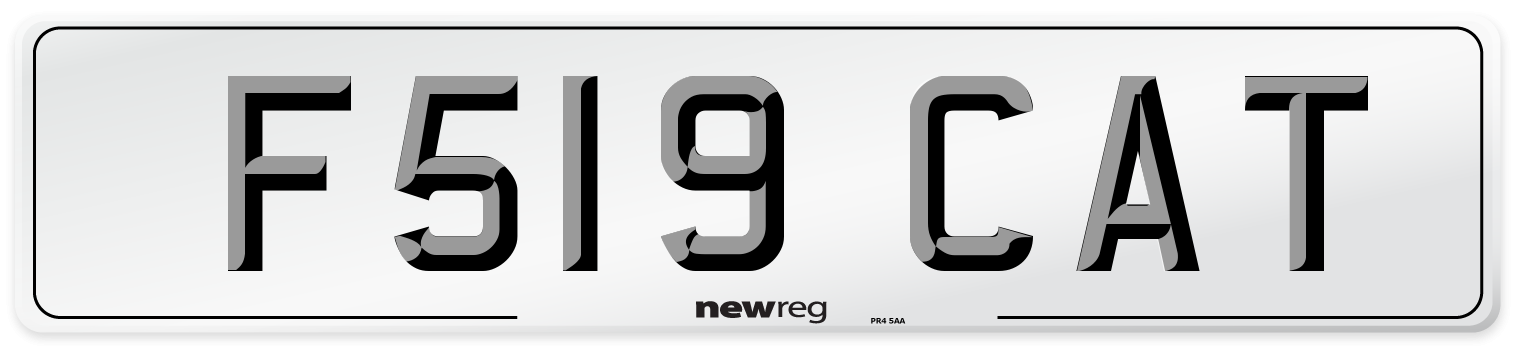 F519 CAT Front Number Plate