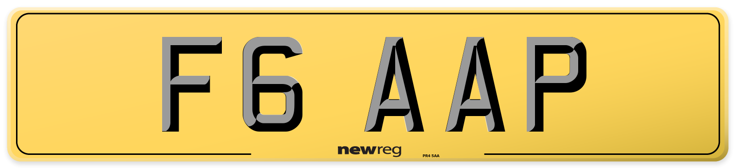 F6 AAP Rear Number Plate