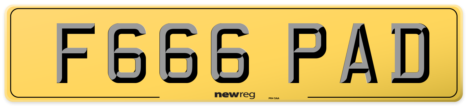 F666 PAD Rear Number Plate