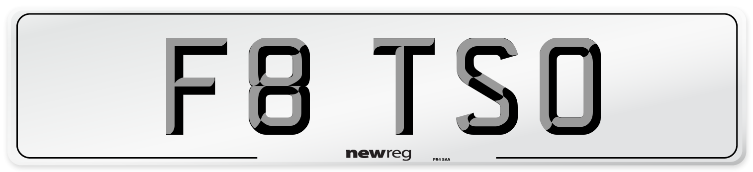 F8 TSO Front Number Plate