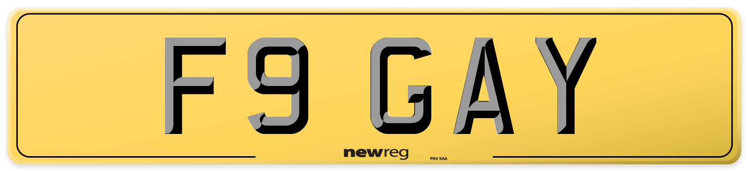 F9 GAY Rear Number Plate
