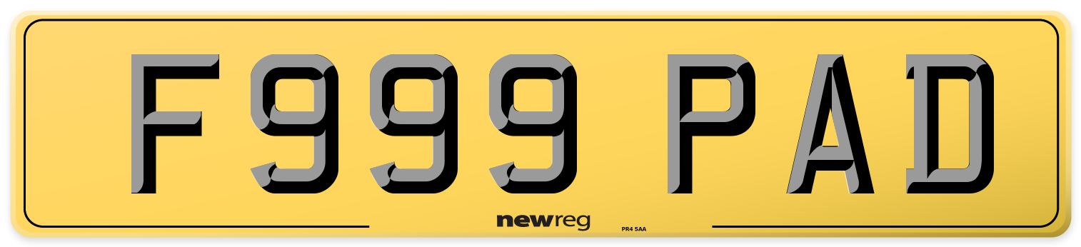 F999 PAD Rear Number Plate
