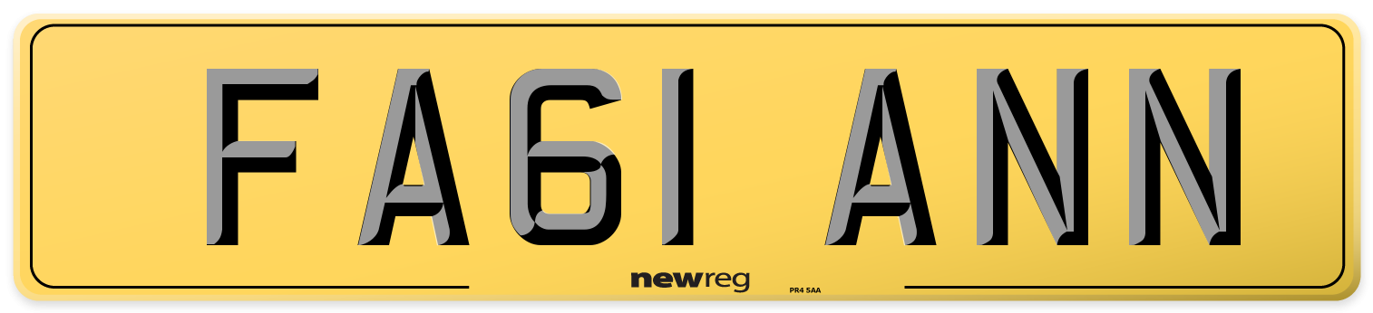 FA61 ANN Rear Number Plate
