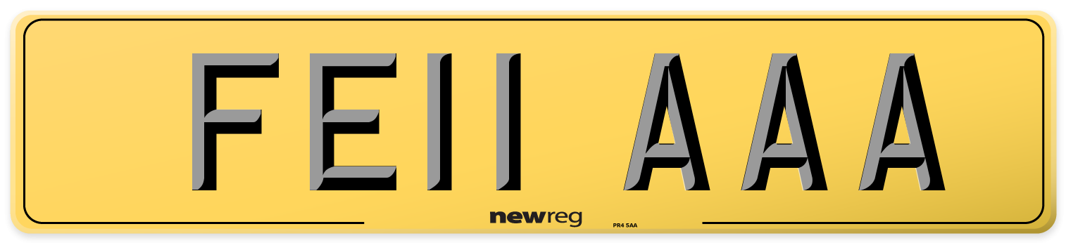 FE11 AAA Rear Number Plate