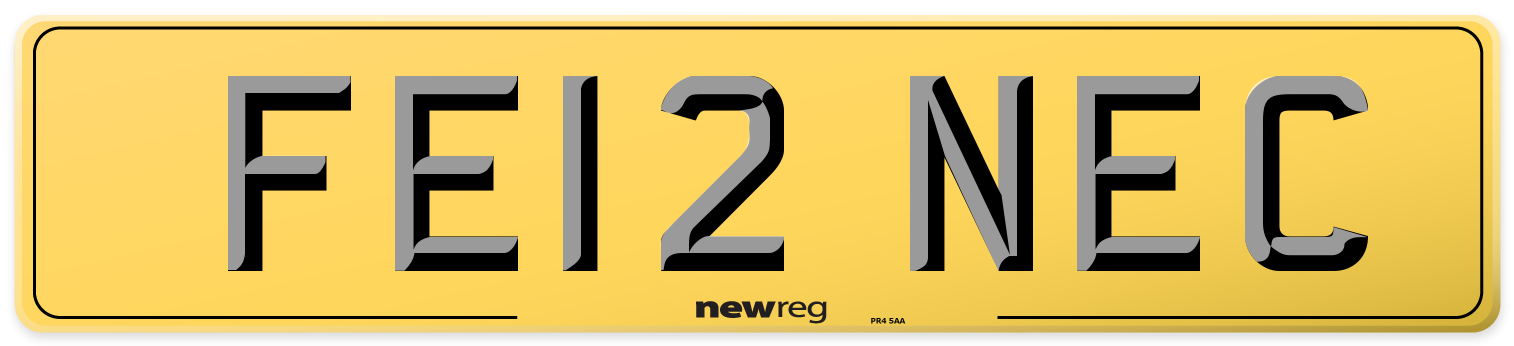 FE12 NEC Rear Number Plate