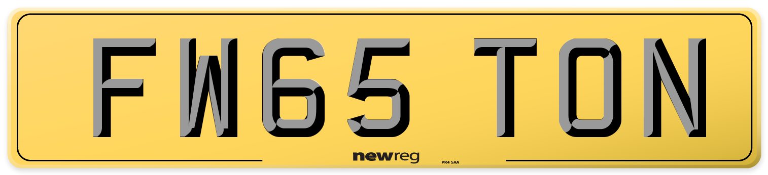 FW65 TON Rear Number Plate