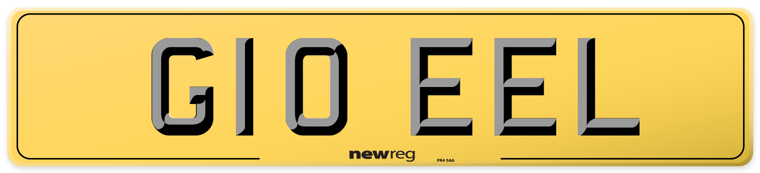 G10 EEL Rear Number Plate