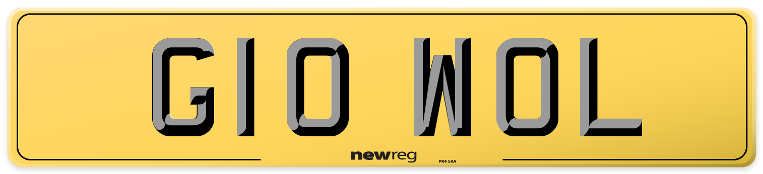 G10 WOL Rear Number Plate