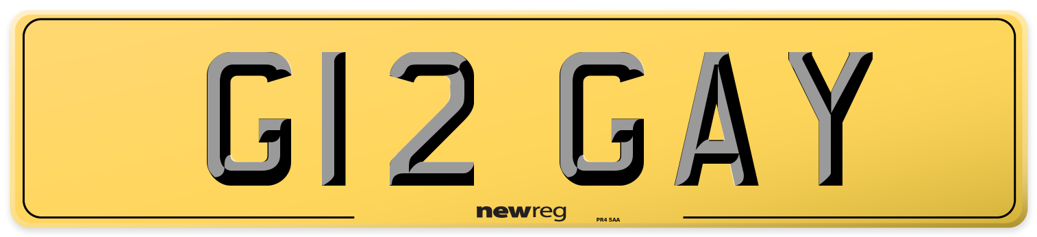 G12 GAY Rear Number Plate