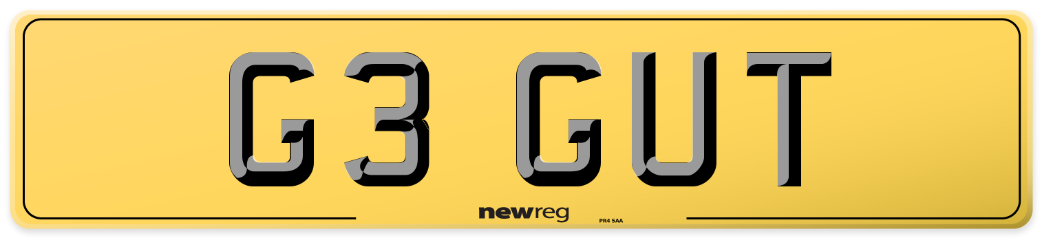 G3 GUT Rear Number Plate