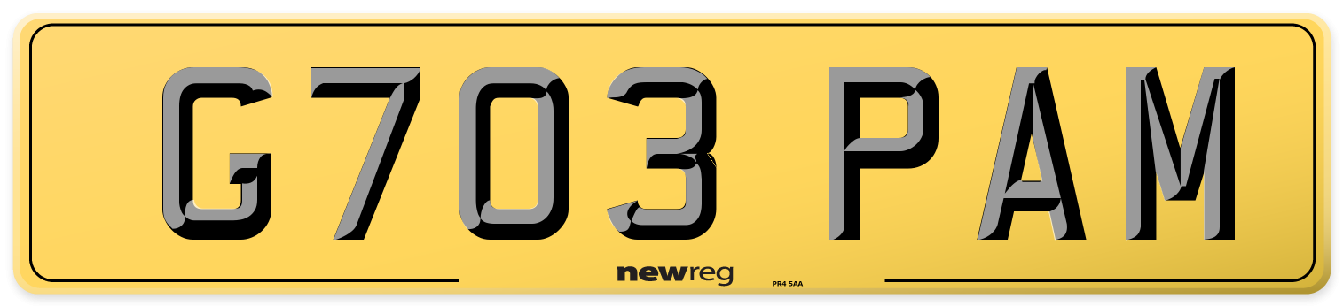 G703 PAM Rear Number Plate