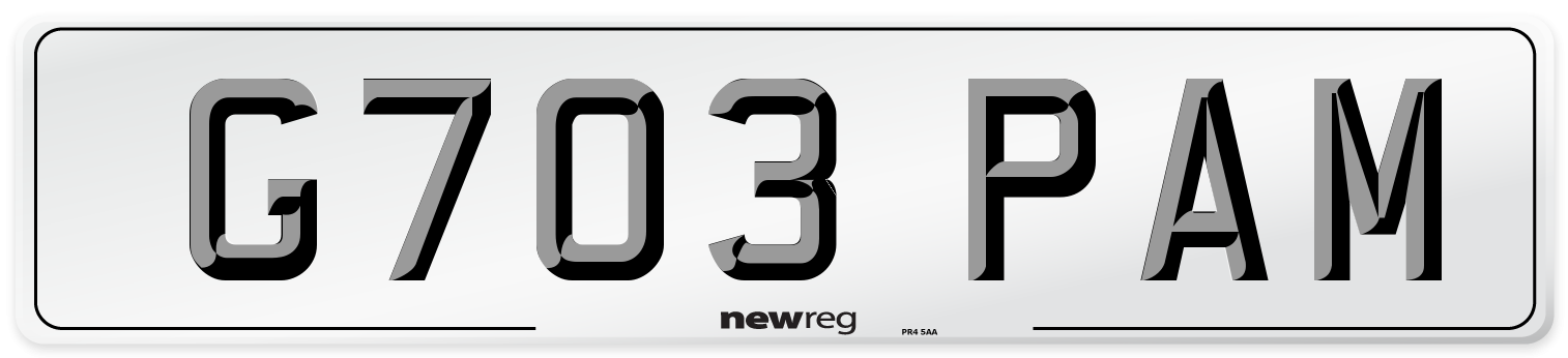 G703 PAM Front Number Plate
