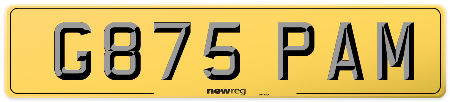 G875 PAM Rear Number Plate
