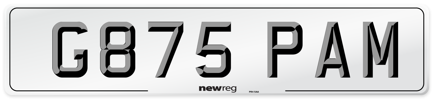G875 PAM Front Number Plate