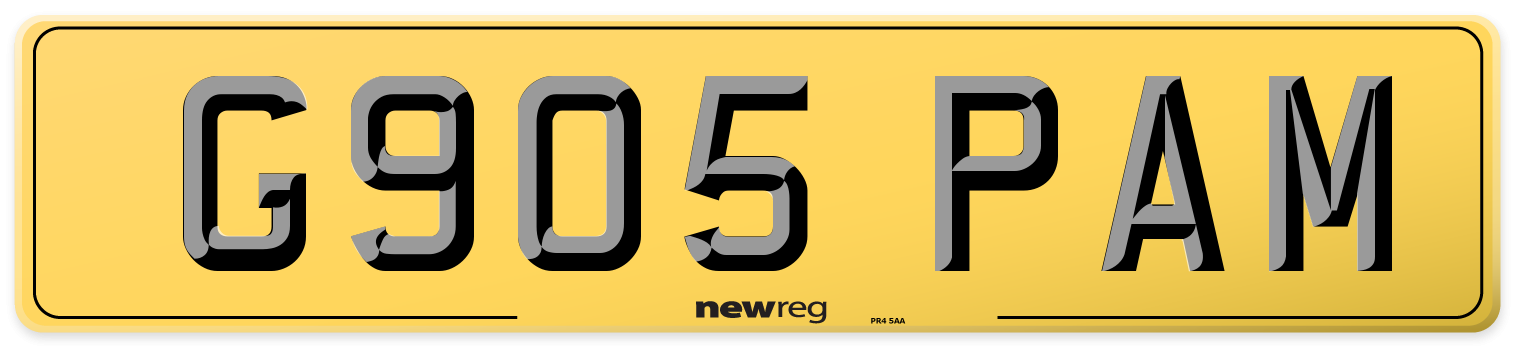G905 PAM Rear Number Plate