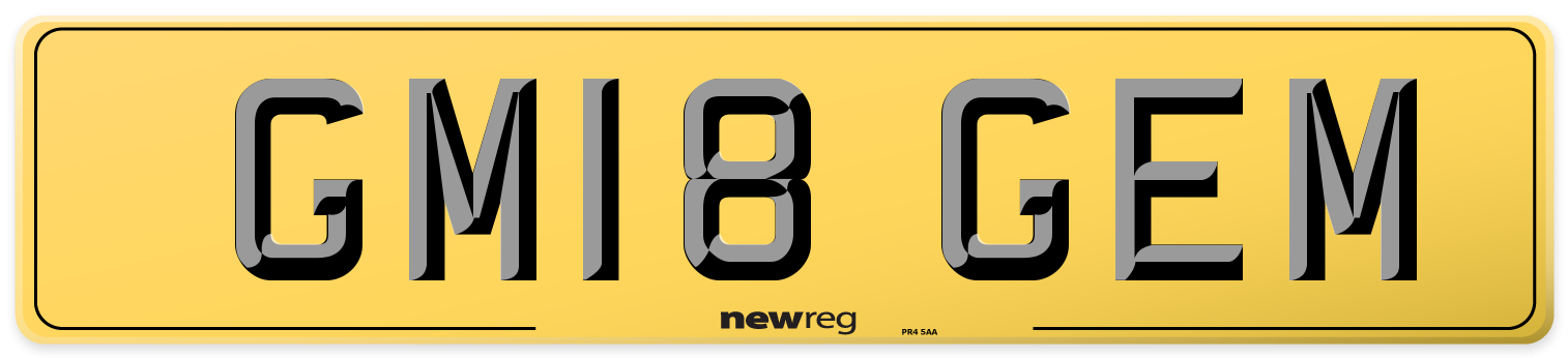 GM18 GEM Rear Number Plate