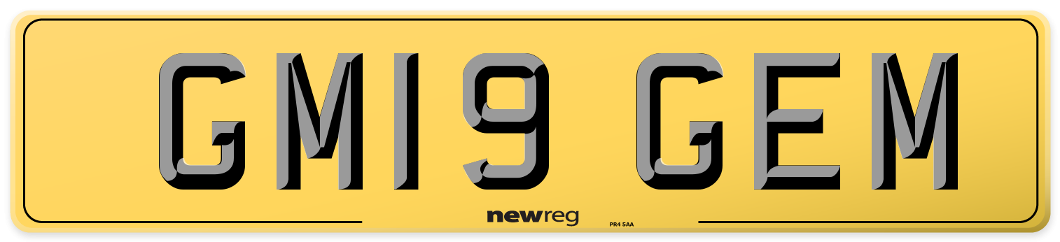 GM19 GEM Rear Number Plate