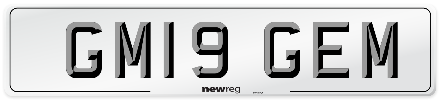 GM19 GEM Front Number Plate