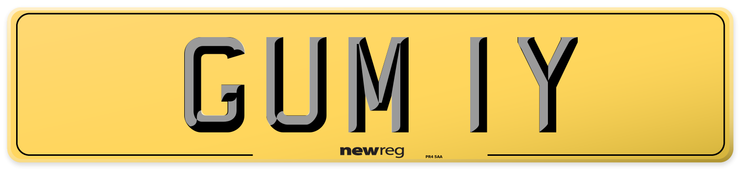 GUM 1Y Rear Number Plate