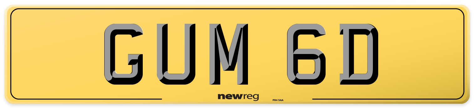 GUM 6D Rear Number Plate